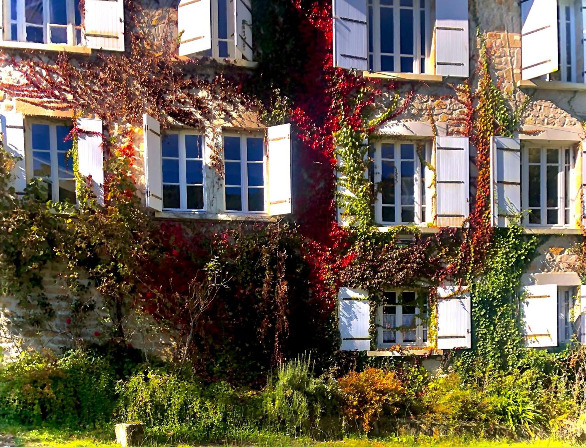 Le Chambon, Chambres D'Hotes Saint-Merd-de-Lapleau Εξωτερικό φωτογραφία